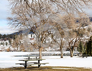 Winter Park and Trees Landscape
