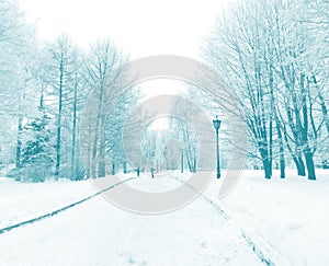 Winter park view, Kolomenskoe, Moscow, Russia, blue filtered image.