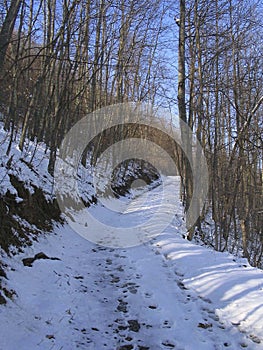 Winter path