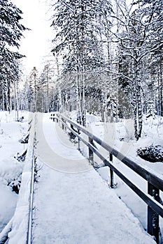 Winter path