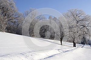 Winter path after the first snowfall of the season