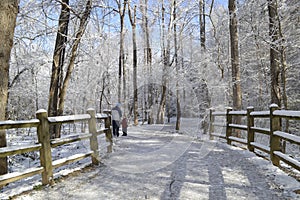 Winter path