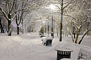 Winter path in the park brought by snow