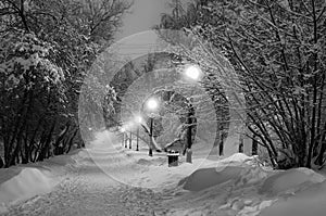 Winter path in the park brought by snow