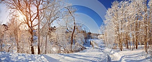 Winter path on sunny day