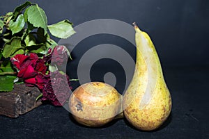 Winter pears brutally brown. Near dried maroon roses.