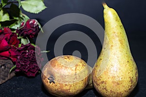 Winter pears brutally brown. Near dried maroon roses. On a dark background