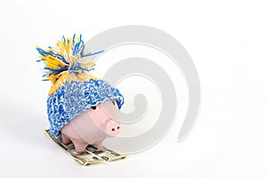 Winter piggy bank with hat with pom-pom standing on skies of greenback hunderd dollars