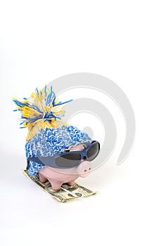 Winter piggy bank with hat with pom-pom standing on skies of greenback hunderd dollars with sunglasses photo