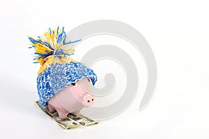 Winter piggy bank with hat with pom-pom standing on skies of greenback hunderd dollars photo