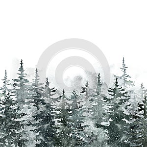 Winter pine tree forest. Watercolor spruce trees landscape illustration. Snowy foggy woods. Christmas background