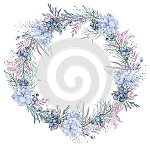 Winter pinebranch, berries and blue flowers wreath. Christmas and New Year's card. Watercolor circle holiday frame.