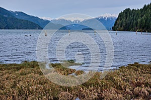 Winter at Pitt Lake in BC`s Lower Mainland, Canada