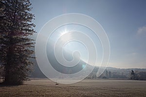 Winter plane in backlighting