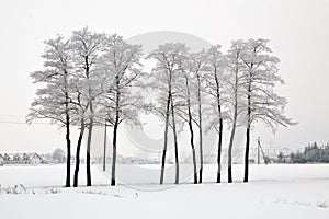 Winter in Poland