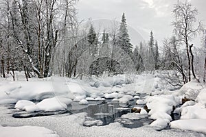 Winter polar landscape in the Sweden.