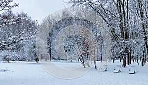 Winter in the Polish Aviators Park, Krakow, Poland