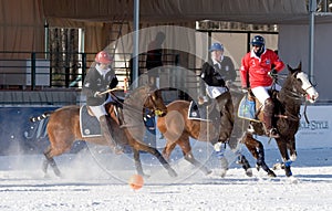 Winter polo match