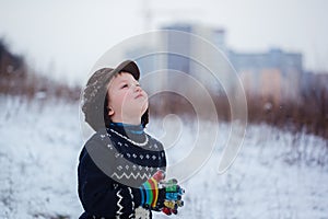 Winter portrait of little kid boy wearing a knitted sweater with deers, outdoors during snowfall.