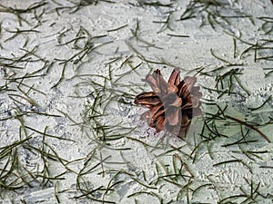 Winter postcard with a fir cone and pine needles