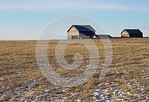 Winter prairie harvested field with abandoned barns on horizon