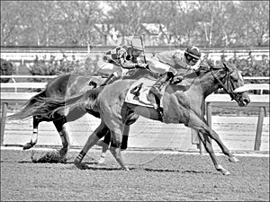 Winter Racing from Aqueduct