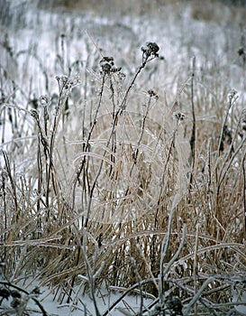 Winter rain