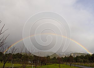 Winter rainbow in the forest and snowy mountains Dirfys on the island of Evia in Greece