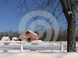 Winter: red barn with tree in snow