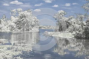 Winter Reflection on the Lake