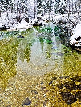 Winter reflections in a slow mountain stream