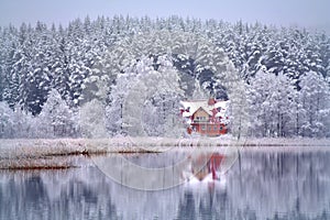 Snowy winter reflections .Lake Bijote,Lituania