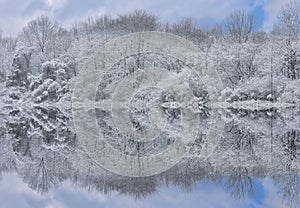 Winter Reflections Whitford Lake