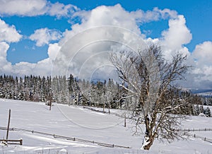 Winter remote alpine mountain village outskirts, countryside hills, groves and farmlands