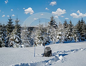 Winter remote alpine village outskirts, snow drifts on mountain fir forest edge. Tourist backpack on a freshly trodden hiking