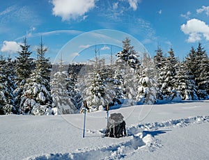 Winter remote alpine village outskirts, snow drifts on mountain fir forest edge. Tourist backpack on a freshly trodden hiking