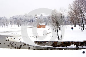 Winter in reserve Tsaritsino in Moscow