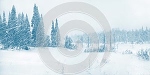 Winter resort in the mountains with blue sky. Wooden house in the snow against the background of a high mountain. Green spruce