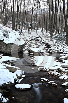 Winter river