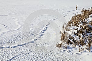 On the winter river