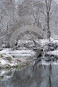 Winter river