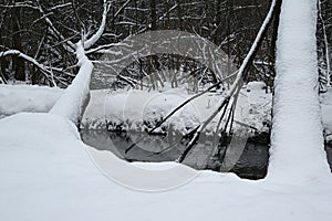 Winter river. A winter river landscape