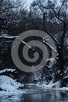 Winter river between old trees