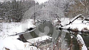 Winter river pond video forrest