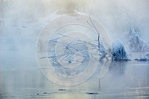 The winter river and soft rime of branch sunrise