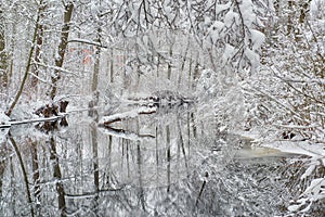 Winter river