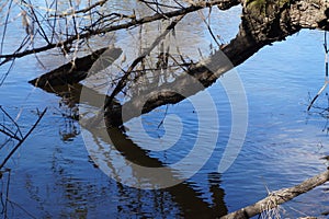 Winter riverside