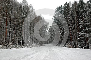 Winter road
