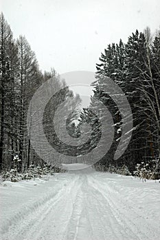 Winter road