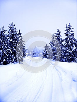 Winter Road